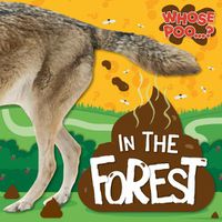 Cover image for In the Forest