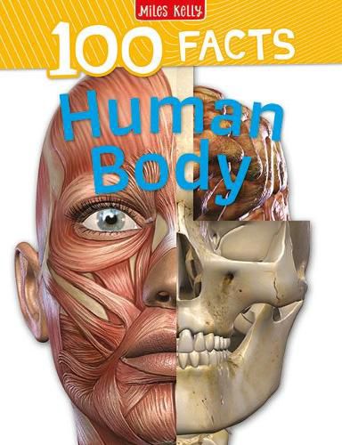 Cover image for 100 Facts Human Body