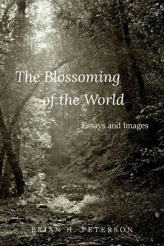 Cover image for The Blossoming of the World