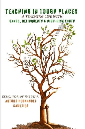 Cover image for Teaching in tough places