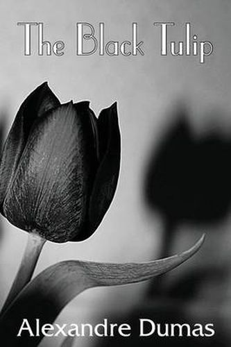 Cover image for The Black Tulip