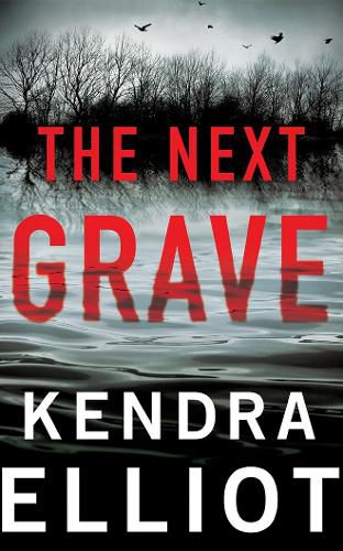 Cover image for The Next Grave