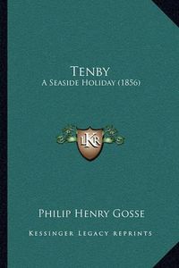 Cover image for Tenby: A Seaside Holiday (1856)