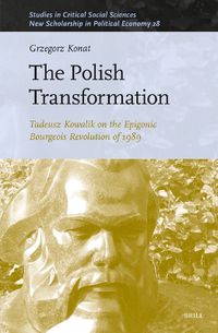 Cover image for The Polish Transformation