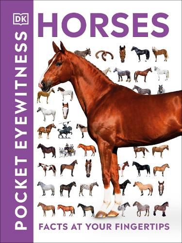 Cover image for Pocket Eyewitness Horses: Facts at Your Fingertips