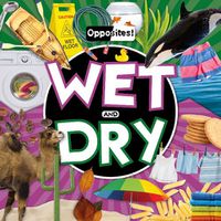 Cover image for Wet and Dry