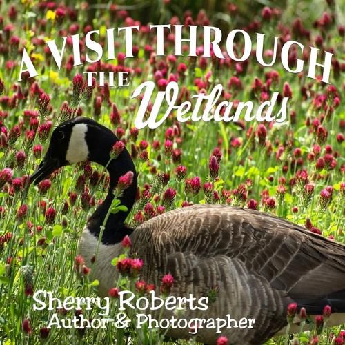 Cover image for A Visit Through the Wetlands