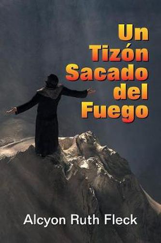 Cover image for Un Tizon Sacado del Fuego