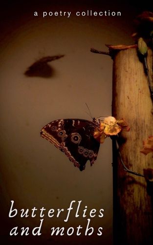 Cover image for Butterflies and Moths