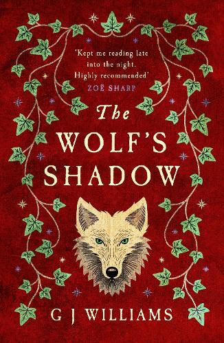 Cover image for The Wolf's Shadow