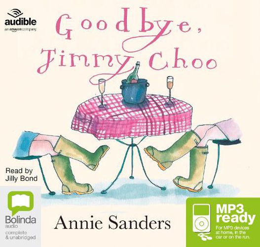 Cover image for Goodbye, Jimmy Choo