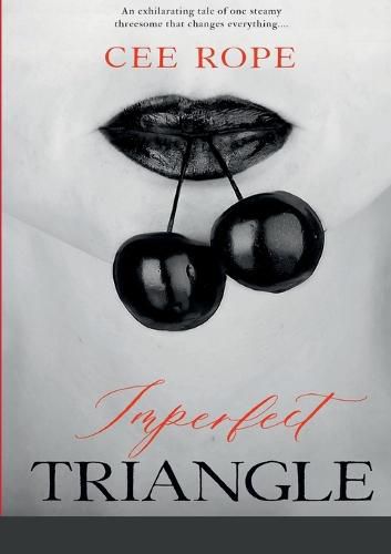 Cover image for Imperfect Triangle