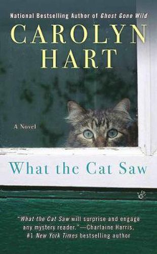 Cover image for What The Cat Saw