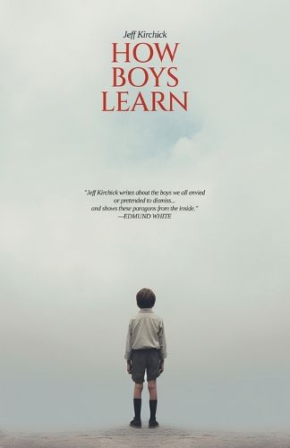 Cover image for How Boys Learn