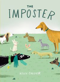 Cover image for The Imposter