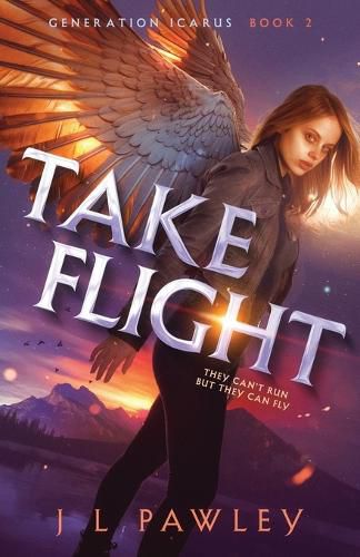 Cover image for Take Flight