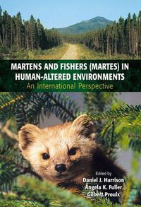 Cover image for Martens and Fishers (Martes) in Human-Altered Environments: An International Perspective