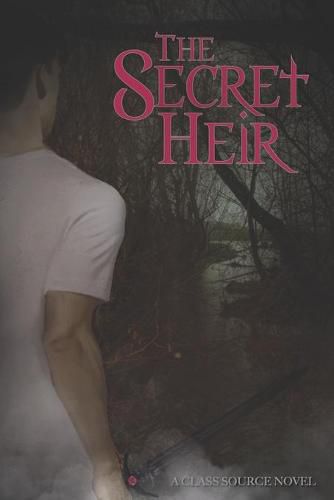 Cover image for The Secret Heir