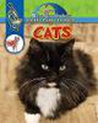 Cover image for Cats