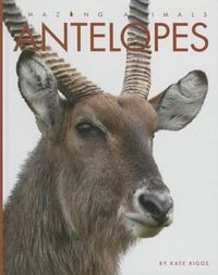 Cover image for Antelopes