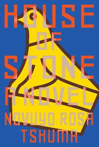 Cover image for House of Stone: A Novel