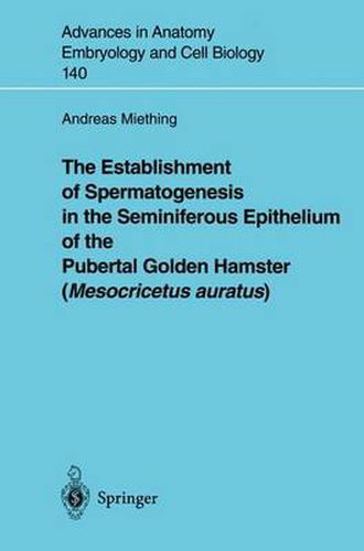 Cover image for The Establishment of Spermatogenesis in the Seminiferous Epithelium of the Pubertal Golden Hamster (Mesocricetus auratus)