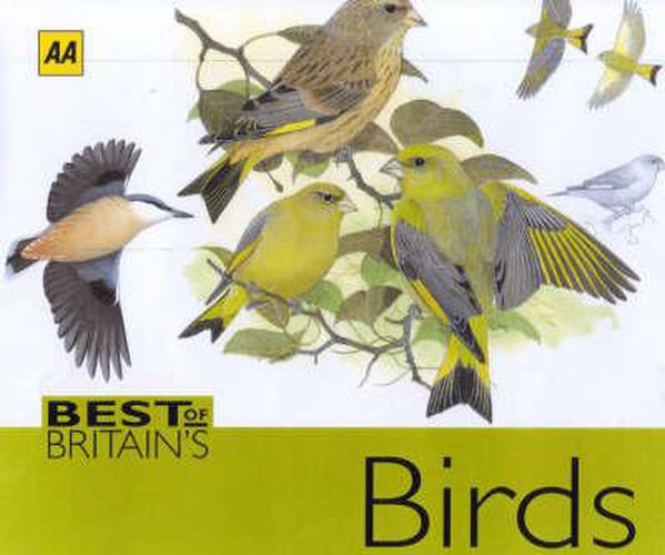 Cover image for AA Best of Britain's Birds: Beautifully Illustrated Guide to Over 250 Species