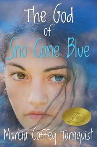 Cover image for The God of Sno Cone Blue