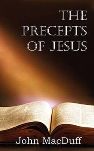 Cover image for The Precepts of Jesus