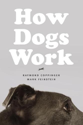 Cover image for How Dogs Work