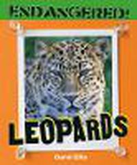 Cover image for Leopards