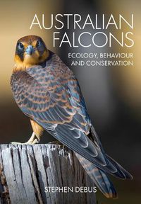 Cover image for Australian Falcons: Ecology, Behaviour and Conservation