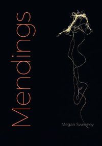 Cover image for Mendings