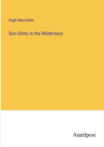 Cover image for Sun-Glints in the Wilderness