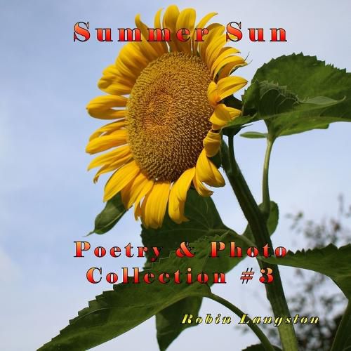 Cover image for Summer Sun