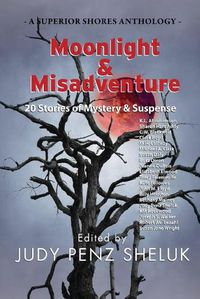 Cover image for Moonlight & Misadventure: 20 Stories of Mystery & Suspense