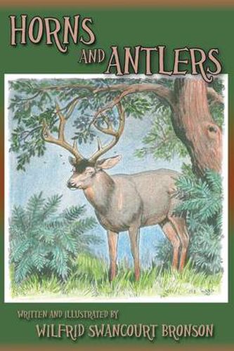 Cover image for Horns and Antlers