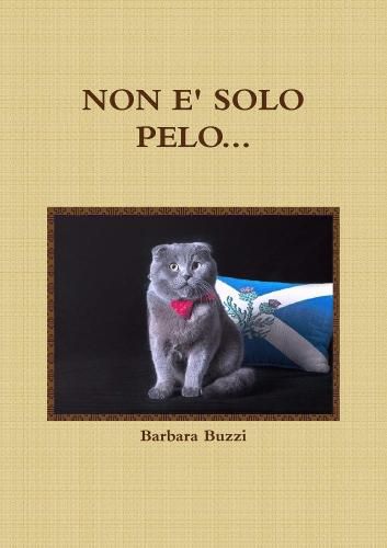 Cover image for Non E' Solo Pelo...