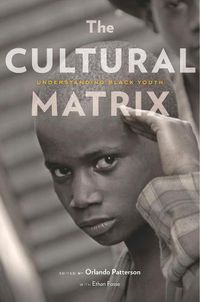Cover image for The Cultural Matrix: Understanding Black Youth