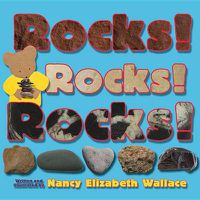 Cover image for Rocks! Rocks! Rocks!