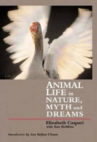 Cover image for Animal Life in Nature, Myth and Dreams