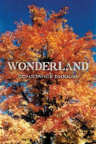 Cover image for Wonderland
