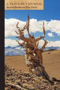 Cover image for Ancient Bristlecone Pine Forest: A Traveler's Journal