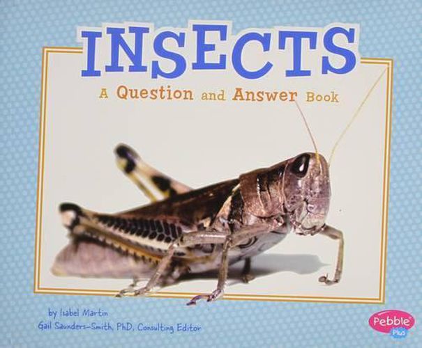 Cover image for Insects: a Question and Answer Book (Animal Kingdom Questions and Answers)