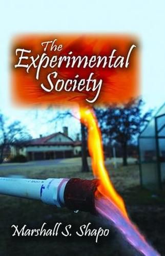 Cover image for The Experimental Society