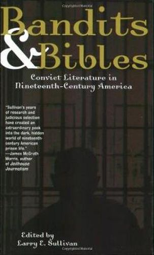 Cover image for Bandits and Bibles
