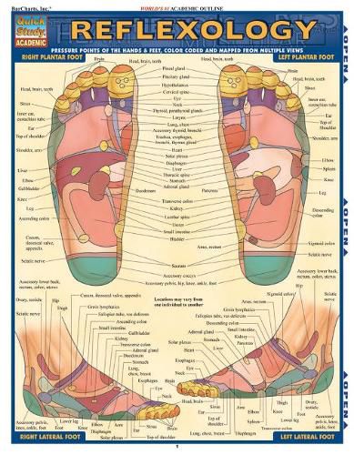 Cover image for Reflexology