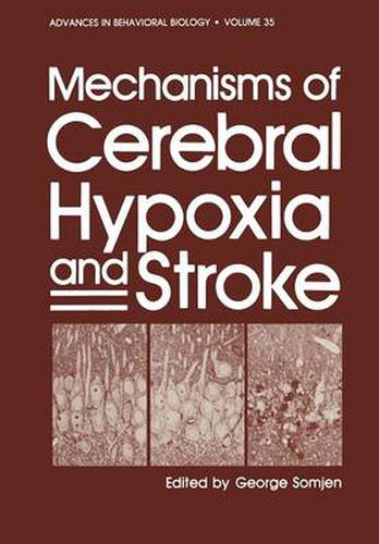 Cover image for Mechanisms of Cerebral Hypoxia and Stroke