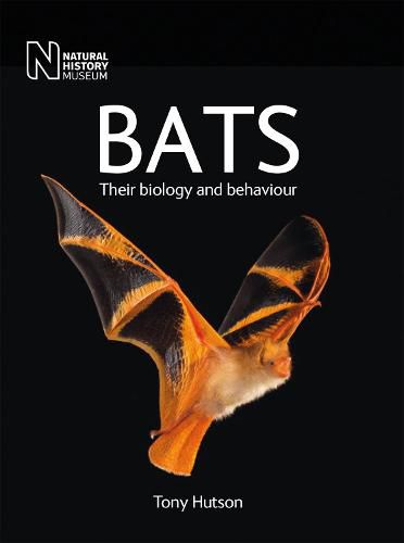 Cover image for Bats: Their biology and behaviour