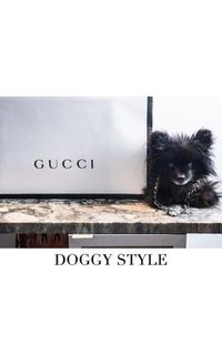 Cover image for Gucci Doggy Style